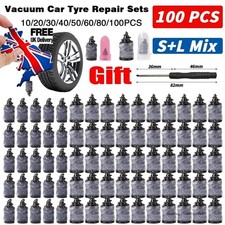 100 PCS Tyre Repair Kit Screw